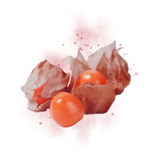 Crimson Lantern Fruit icon
