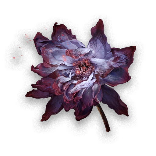 Purple Camellia icon