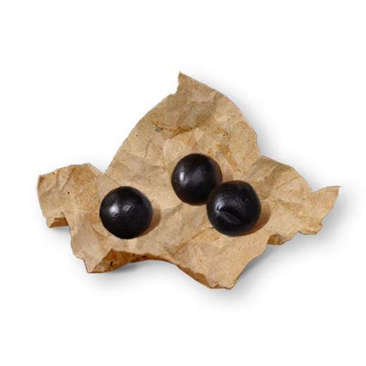 Raven Pill icon