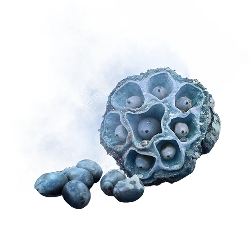 Sapphire Lotus Seed icon