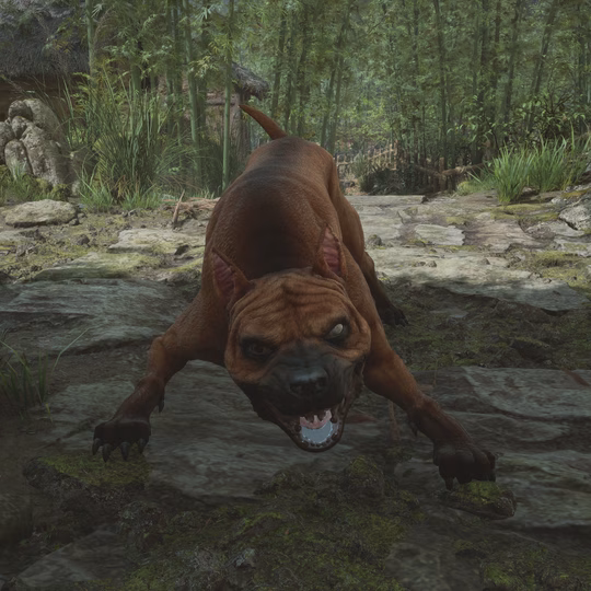 Monster Dog icon